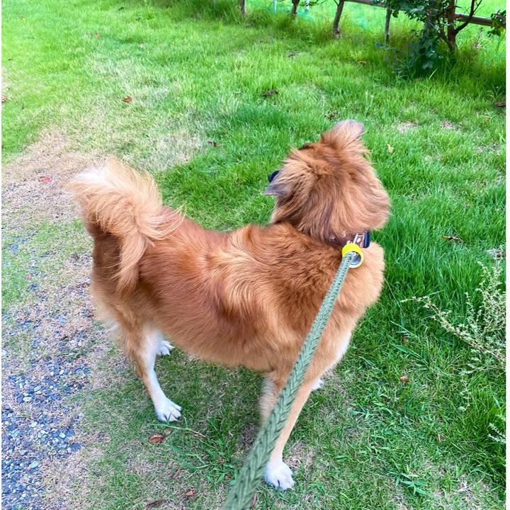 46498456 be11 4da7 976e d4e7347288be 1758202097168