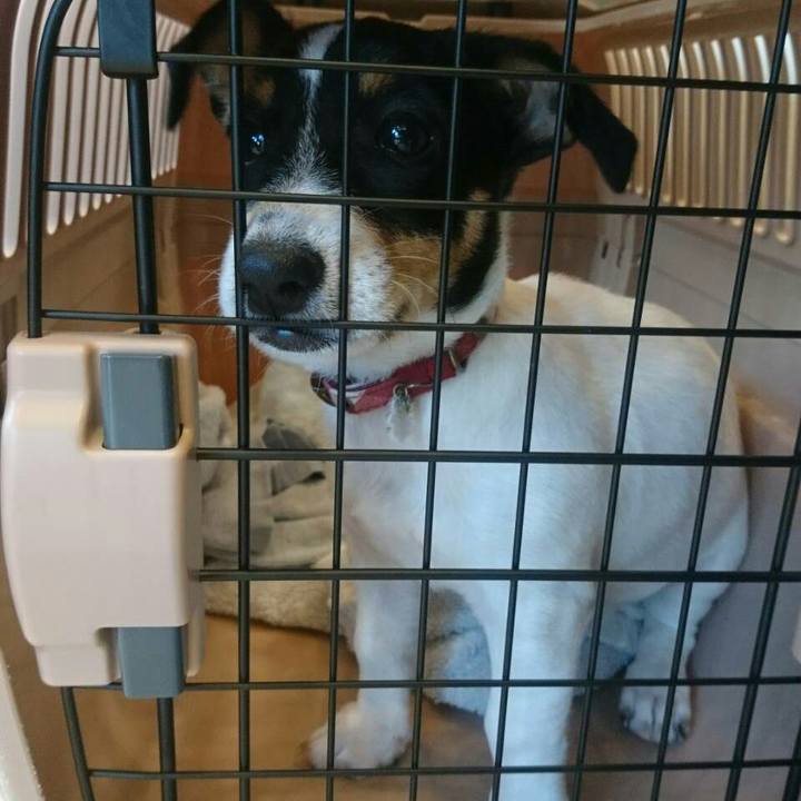 46499cd6 1621 4429 8fa5 0b6ba71ac4eb 1512282068528