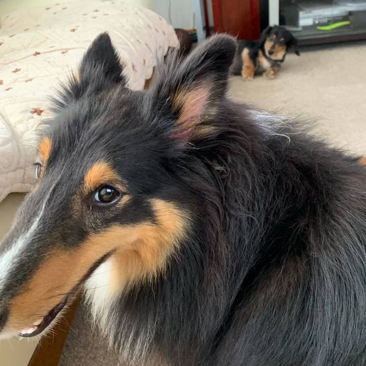 4649e09e 8052 4406 a9de 0cbf5b422707 1564212167098