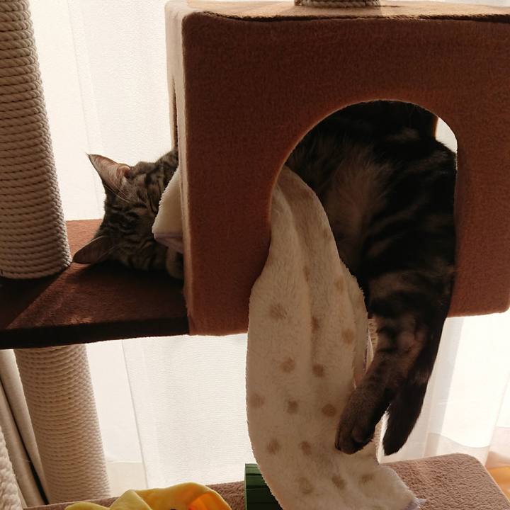 4649e9fb e4b9 4a03 b3ad 91d96d178be1 1523252013160