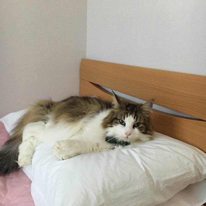 4649f30b a341 49cf 94e7 fb8894cfc90a 1626249003640