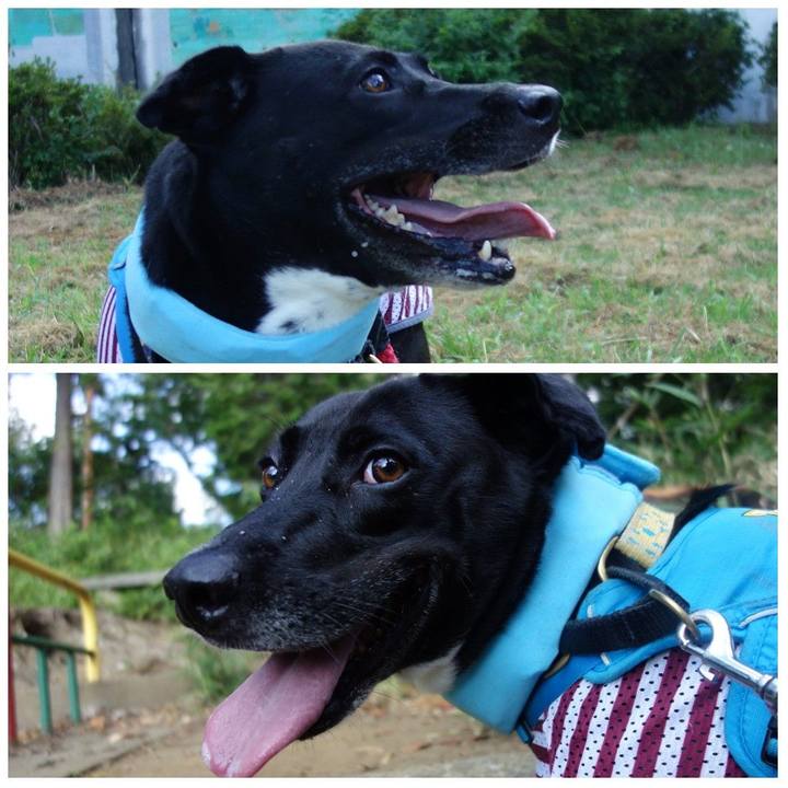 464a19bd f27c 423c 8715 34cee3577b78 1628209962360