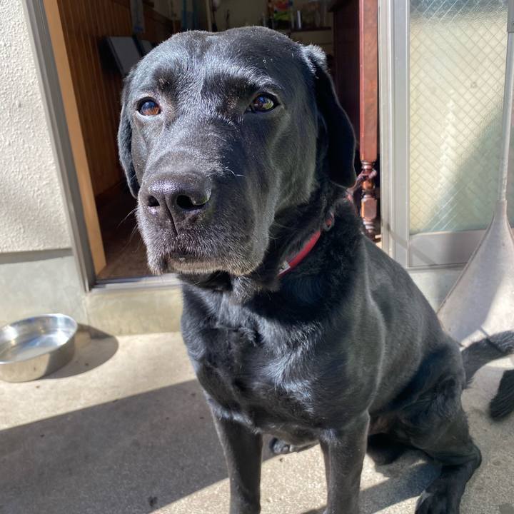 464a249d e463 46d8 ad0e 5d0a539b53f3 1770007439173