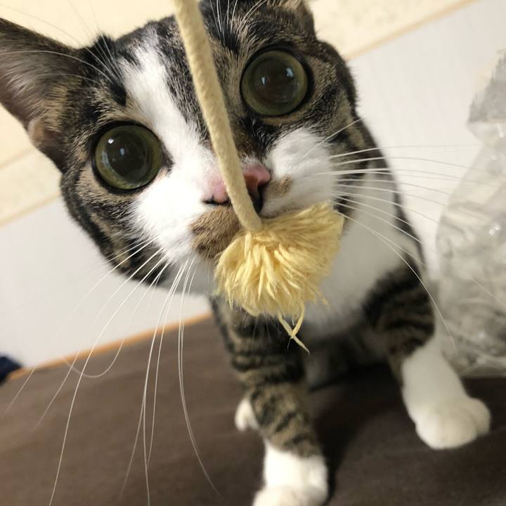 464a4576 d2d9 4c2c 82ed 227f44f08247 1578149897454