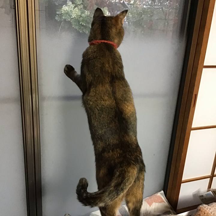 464aadbc 36b4 49d6 a008 880276ffab48 1637565532297