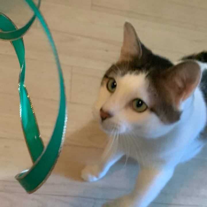 464ac2dd d7c9 483d ad61 9c6623c22824 1639805572045