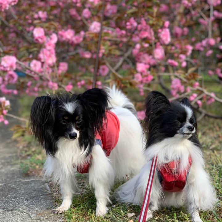 464ad6a4 3f80 4511 8a61 00042d31e7ce 1555540865371