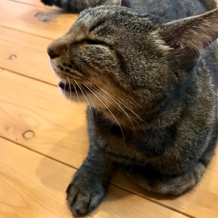 464adfb7 d4b9 4e9a 8bb3 5d83561f6be4 1554883626973