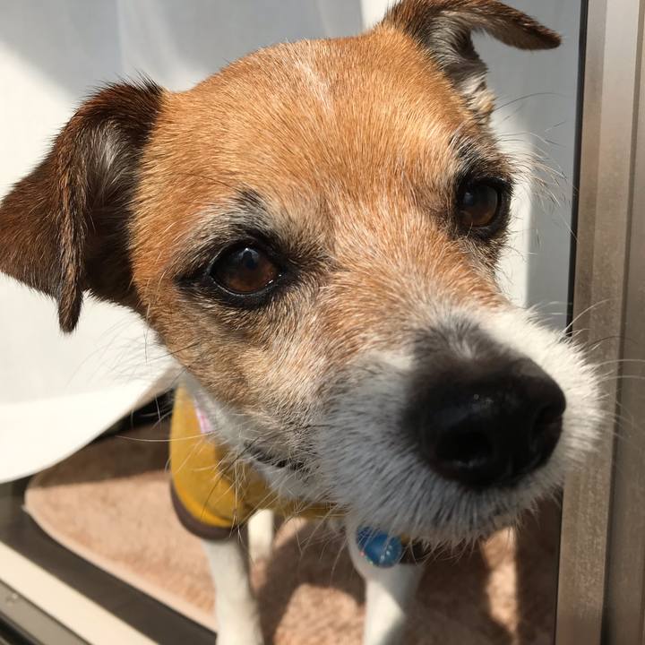 464afeb2 247f 4554 9356 0ba581f81fbb 1552697371586