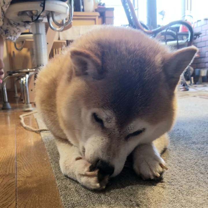 464b35f6 fd0e 41eb 9356 9446a888f8e8 1626339167465