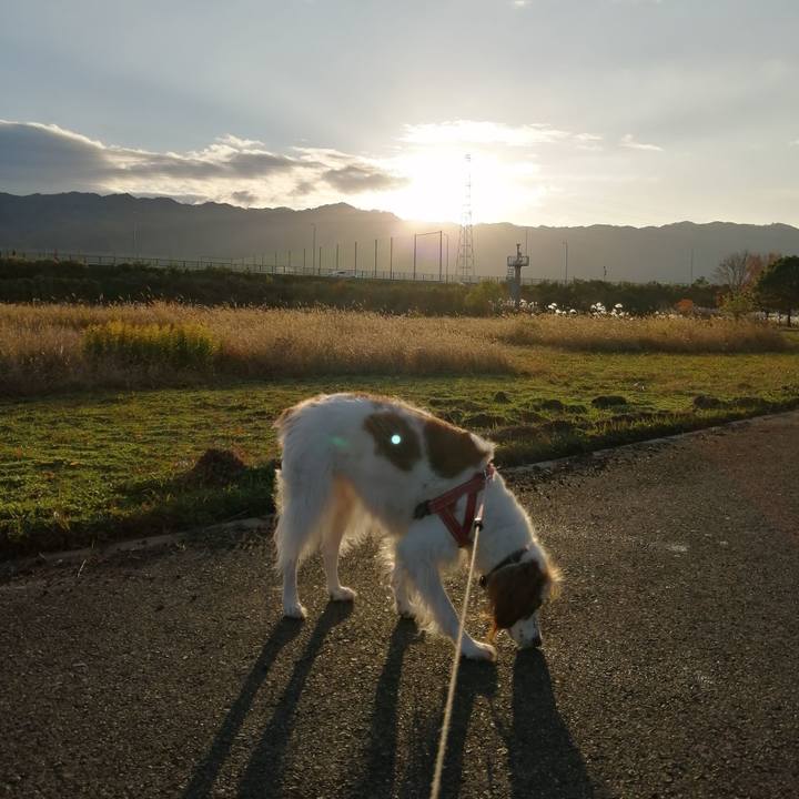 464b450c 5b08 493e aa77 6a0dbd1eda60 1606523023558