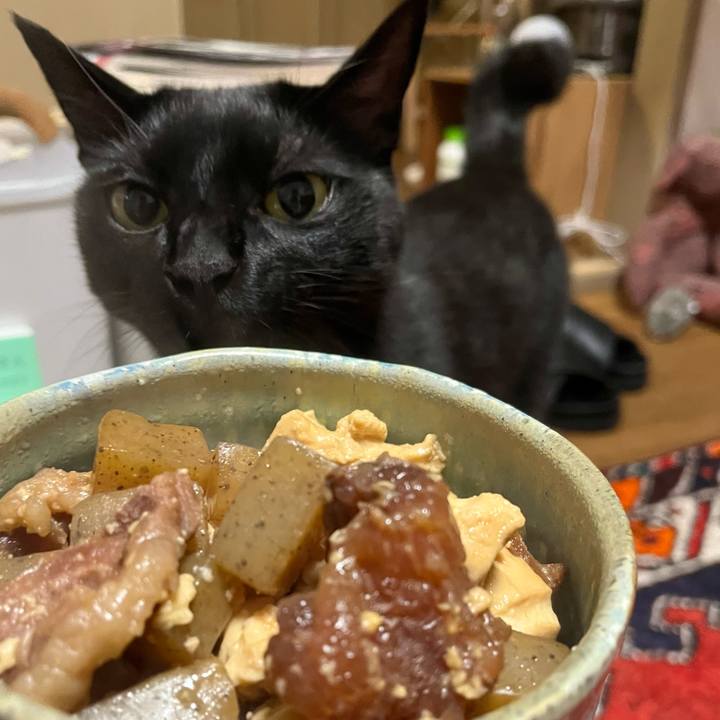 464b4c6c d8f5 4309 9e88 b09547f11752 1724847931433