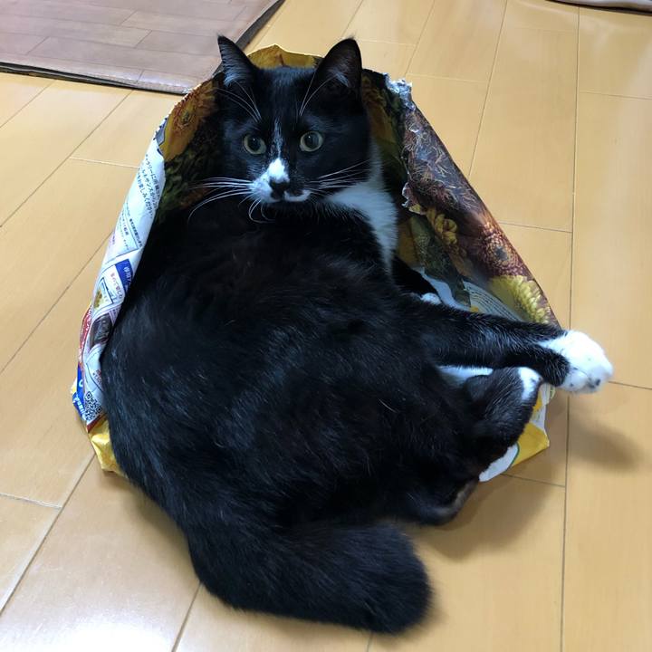 464b8123 04e8 4090 b46d 1cb98052213a 1624419858069