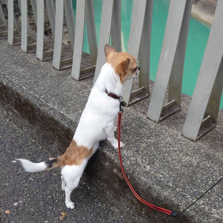 464ba7b3 1f8f 4c64 9c8a aedc0761c52e 1637929158670