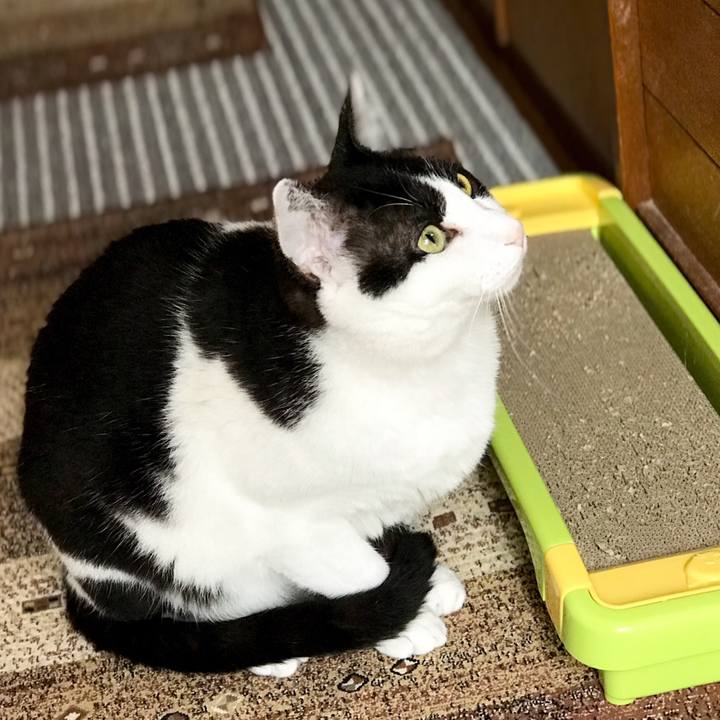 464bd911 760d 44ca 93bf 2376fecb8383 1526568347882