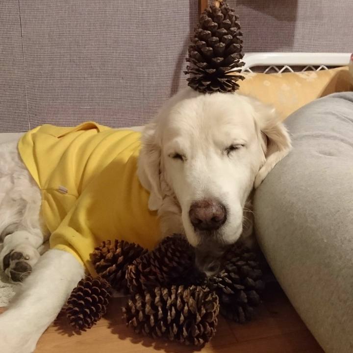 464c0383 aa08 44fd 803f 08ec45b43fcd 1548633527404