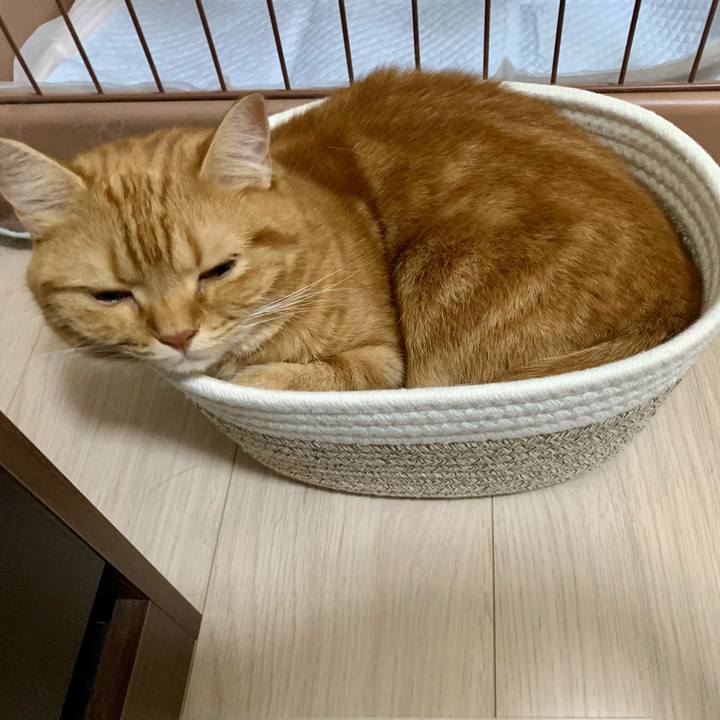 464c1b81 818c 4286 a15a 226f933c4141 1627437561416