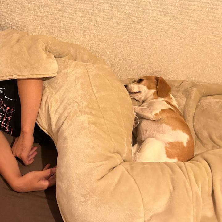 464c256b 11a8 4856 9a23 aa3ea1a3076f 1700448181308