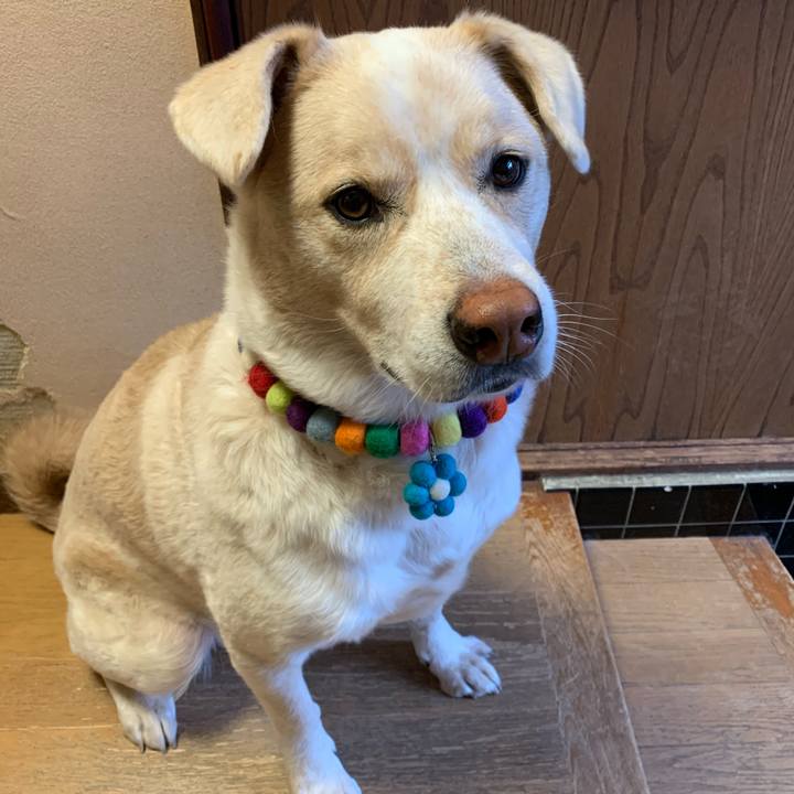 464c4a03 6352 4357 920e eab7c3e01474 1577287234247