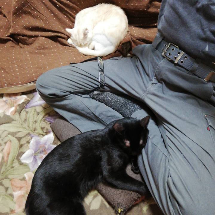 464c4f9b 4425 4a1e 8510 3fd36ed83c77 1608587901708