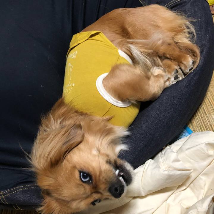 464c9698 aa36 4bb7 a796 3ede8d6920ab 1520719651187