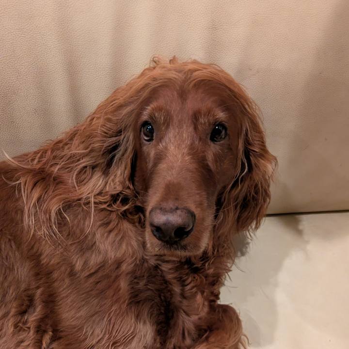 464cc5b4 e5cb 4935 8888 3607554a0bf1 1758113554500