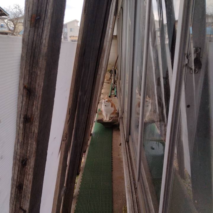 464cd3d9 a413 401c bf85 028675b0e28a 1766561277522