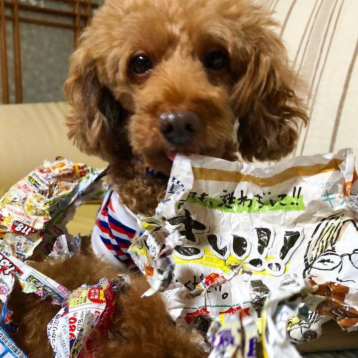 464cea7b 8e89 402d 9a58 0fc93ae78fcb 1622267999936