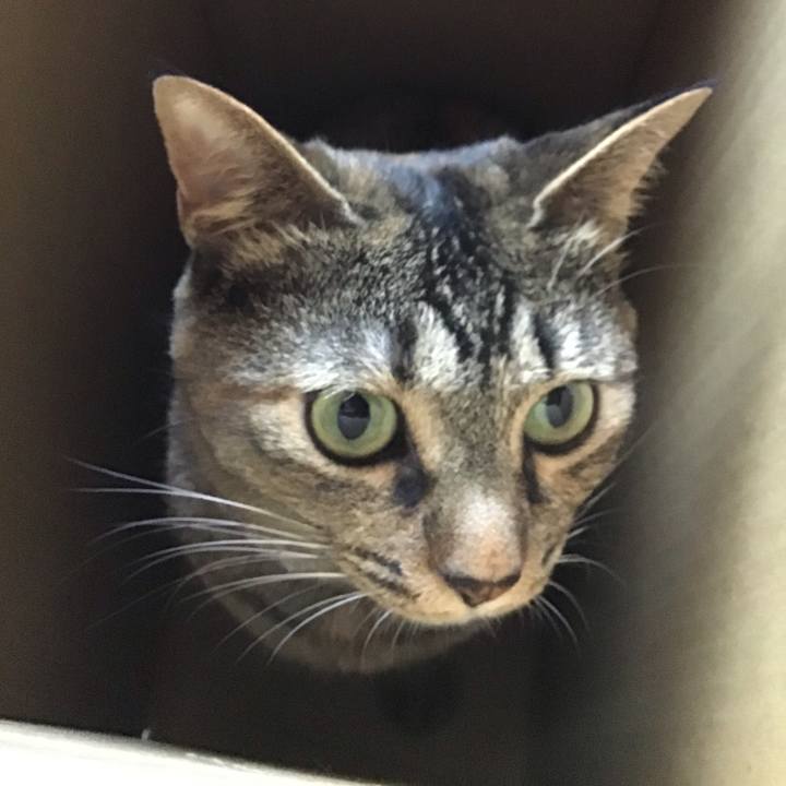 464d919f 2fb9 477c ba7d 3ad2d2b59daa 1658737278280