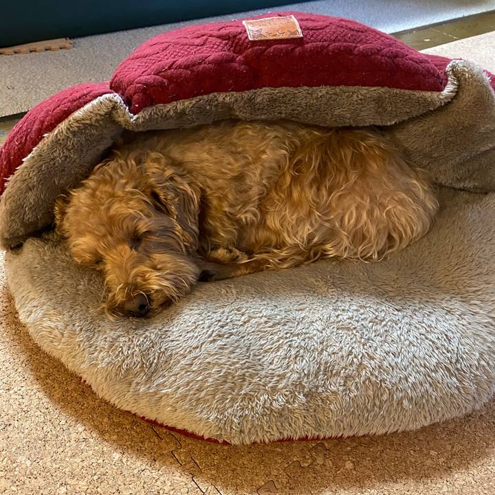 464db553 e861 4a76 91b1 cb461d1f5c0d 1635807252956