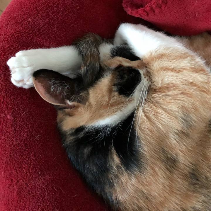 464dc53b 11ce 497d a491 85f1abedc3cd 1524744018229