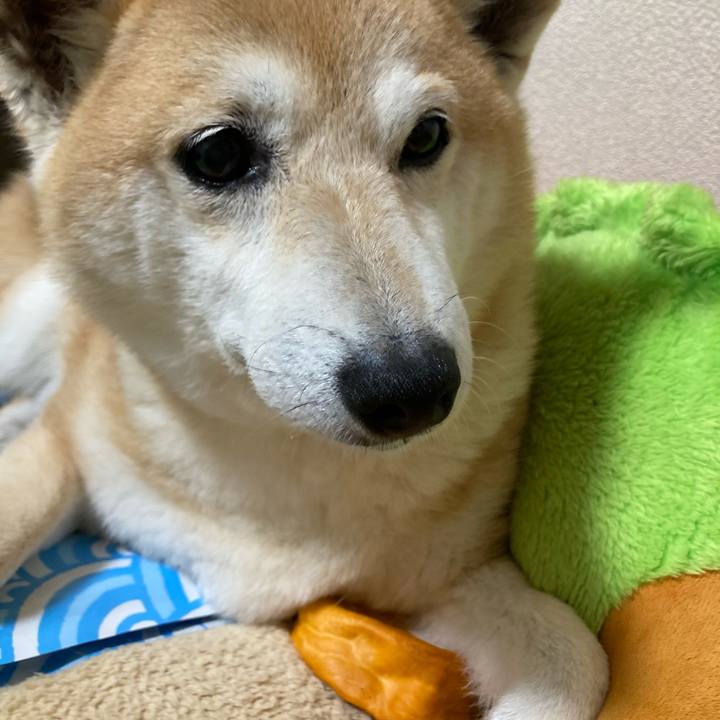 464e26d5 565b 494c b4f5 b96afb4a8eda 1623189733119