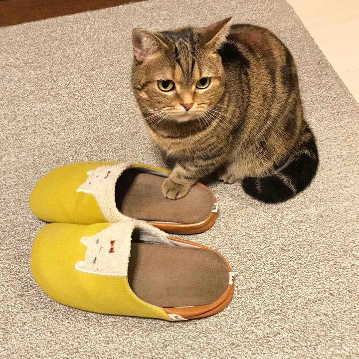 464e6cbc 02f3 4c35 8e16 c12cb6423183 1517991329033