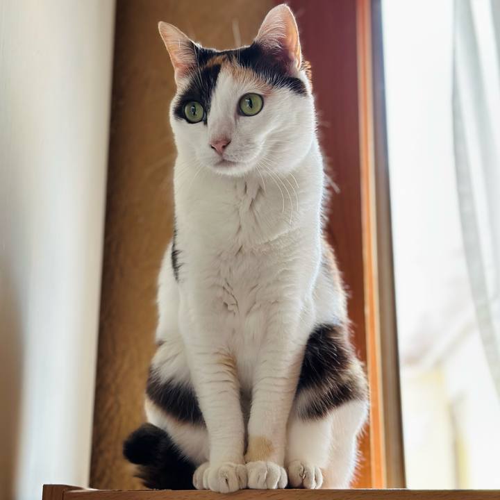 464e78ca 2b9d 4150 9fe5 87f41cd10a93 1687660161617