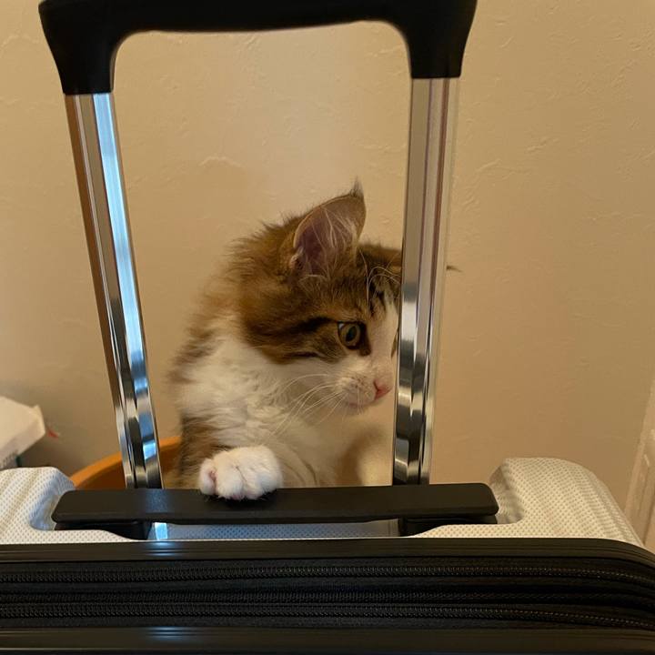 464e8c0a b0c7 4929 923b 6fa95a2b4551 1634990336793