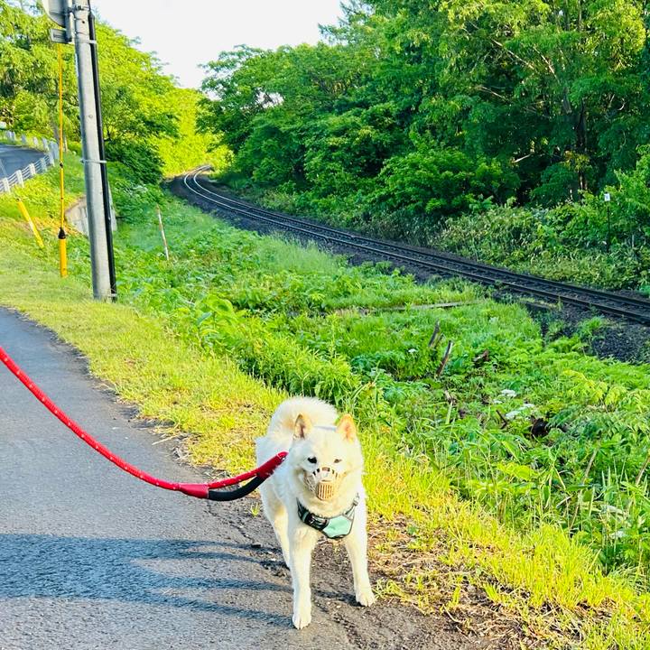 464e9195 6766 4738 90be b1ecf94dd500 1685916064478