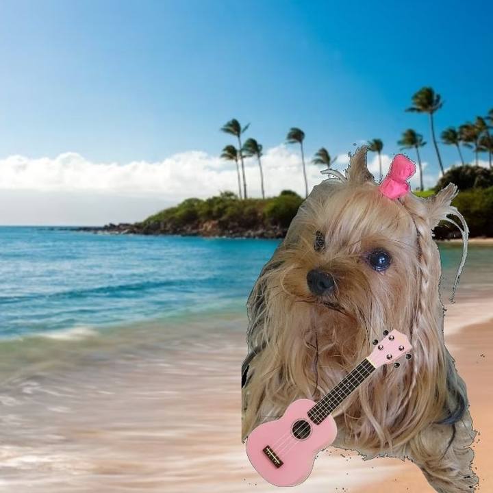 464f16c7 b360 4365 99d0 ba21a0aca7f5 1691814559317