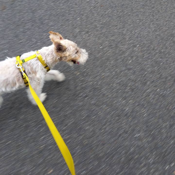 464f1ad5 8cf5 4dd4 a8e2 e1742ee75fb1 1629158542189