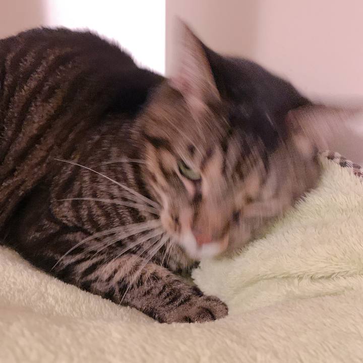 464f6c6f b2f7 460e 8f21 c9940294f0d8 1665064144285