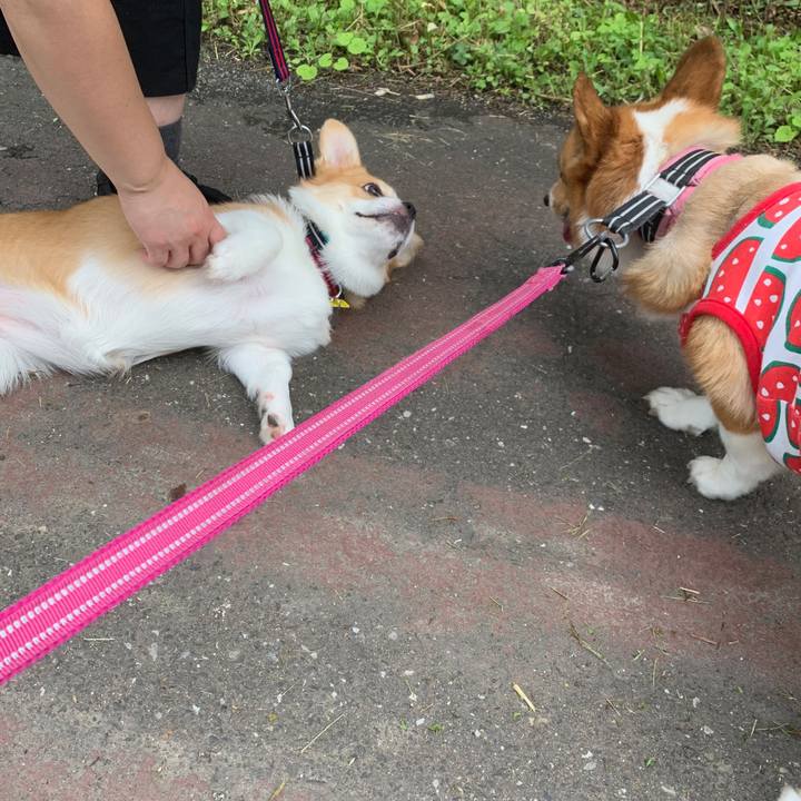 464f7722 2405 46bf 9ca1 8e8f217f7d4d 1562584577868