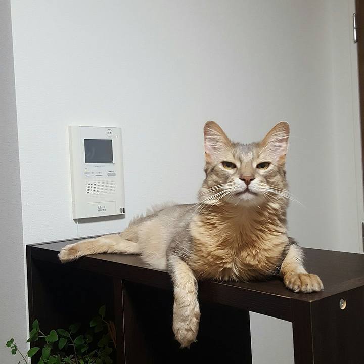 464f805a bc73 4c79 8e42 494d54570134 1559309619895