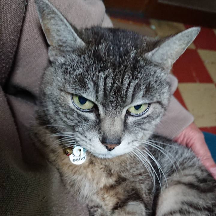 464fb99f a450 4ce7 b1f4 d61000975901 1554032215910