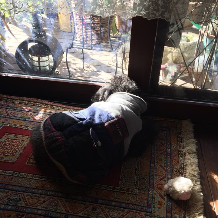 464fcf44 2902 4059 afe1 c1bcf24ece98 1548117851491