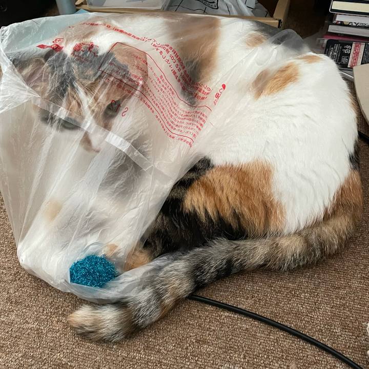 464ffaac 5bba 4157 8145 0862878981d5 1627101949318