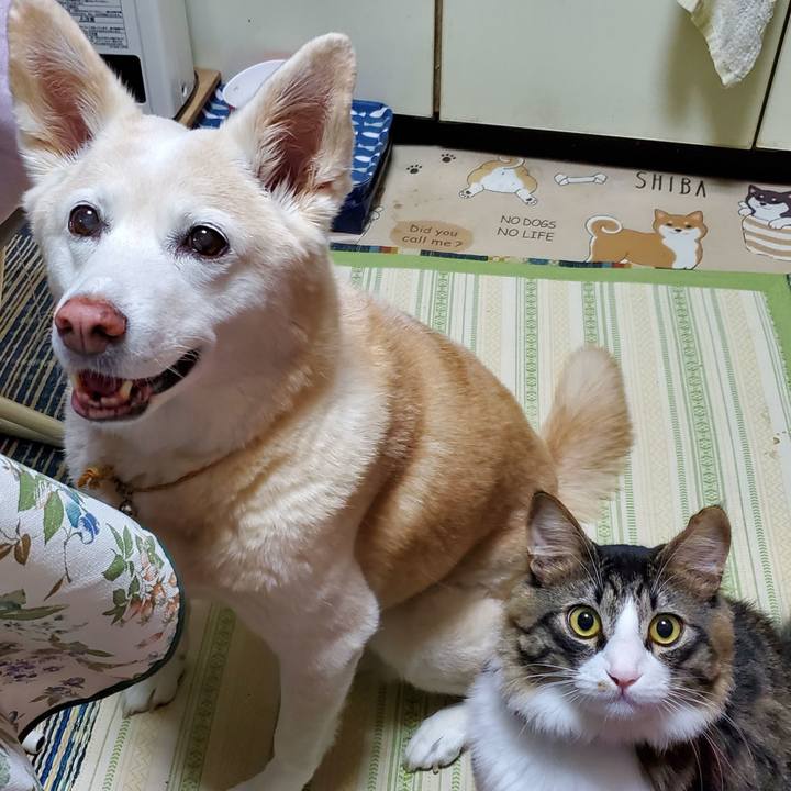 46500732 1112 4fbd 82d2 7d6b1a632d68 1662525355856