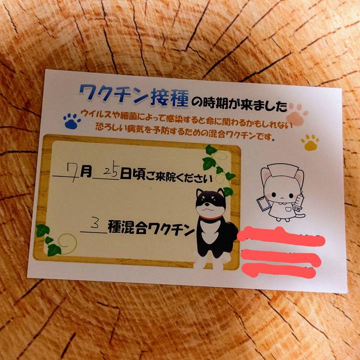 46507a2e 7756 4594 b9c5 cdf845728c15 1593946037772