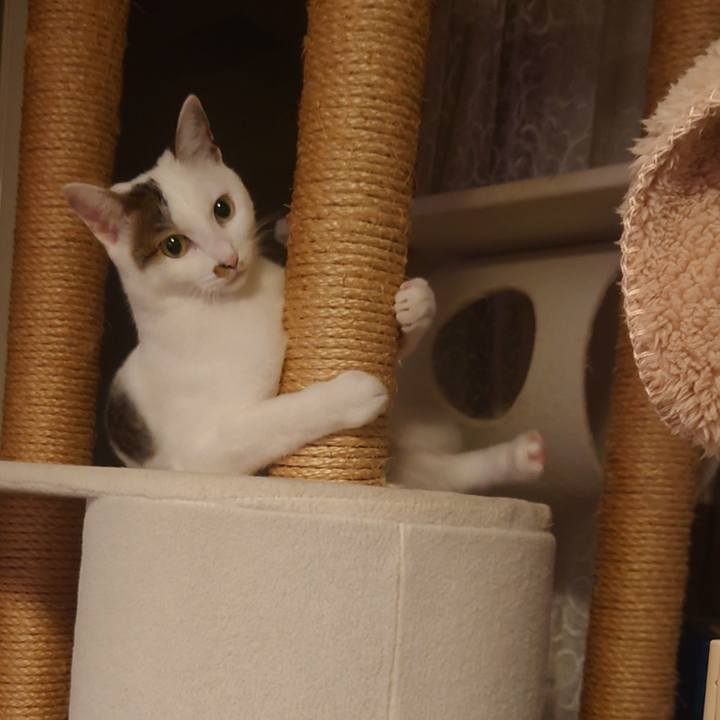 4650854d b0c2 4ae4 b9ae e5d2363a5066 1696518338689