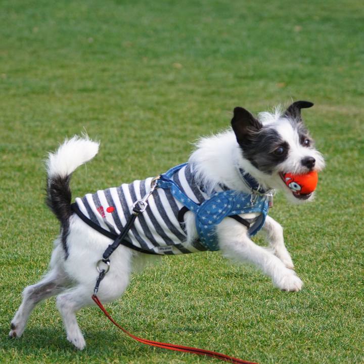 465096af 0bee 4e36 83bf 740039b56fdc 1555669786922