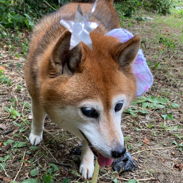 4650c10a 0e4a 4e98 a558 d7c60687ea57 1689384600501