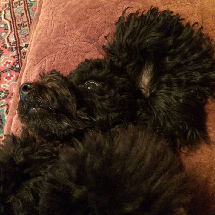 4651013c 10ad 41d7 a372 939de926b39b 1524578950877